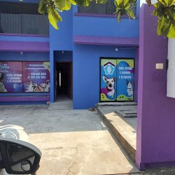 La Casa De Tu Mascota