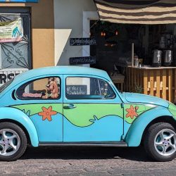 La Cochera De Shaggy