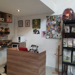 Laila Veterinaria Aves Querétaro