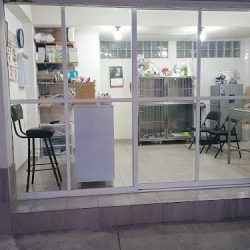 Negocio Little Pets Médica