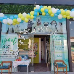 Lovet Clínica & Spa