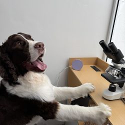 Negocio Luna Veterinaria Villa Magna