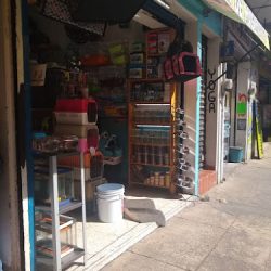 Negocio Mascotas Nova