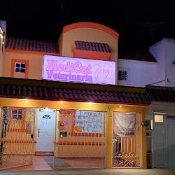 Negocio Médicat Veterinaria