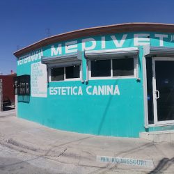 Negocio Medivet Centró Médico Veterinario