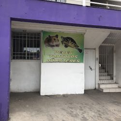 Mexpet Store