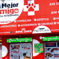 Negocio Mi Mejor Amigo Clínica Veterinaria