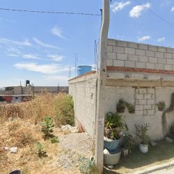 Miau& Guru Grupo Veterinario