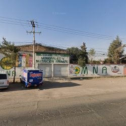 Negocio Minerales Y Nutrición Animal