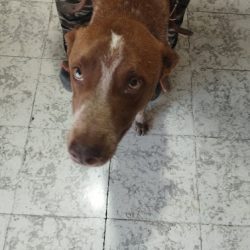 Negocio Mundo K-nino