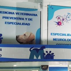 Mvet Medicina Veterinaria Preventiva Y De Especialidad