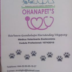 Ohanapet's Veterinaria