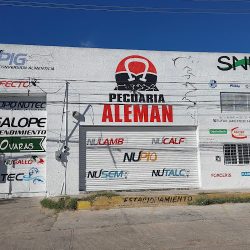 Pecuaria Aleman