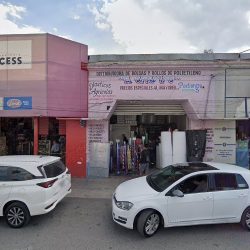 Negocio Pensión Y Guardería Pocas Pulgas