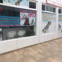 Negocio Pet Grooming Health Estética, Veterinaria Y Guardería Canina