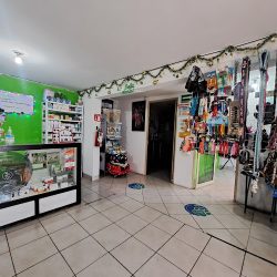 Pet Health Clínica Veterinaria