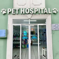 Negocio Puppycatépetl Hospital Veterinario