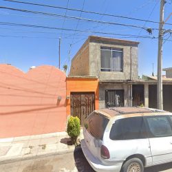 Negocio Radiología Veterinaria