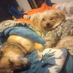 Negocio San Roque Centro Veterinario