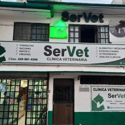 Servet : Clinica Veterinaria