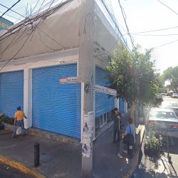 Servicio Veterinario A Domicilio