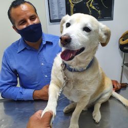 Servicio Veterinario Querétaro (seveq)