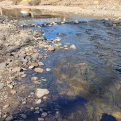 Negocio Servicios Veterinarios Toledanos