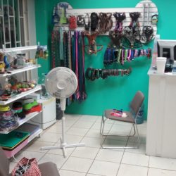 Servicos Medicos Veterinarios Shetland