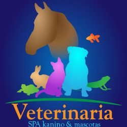 Negocio Spa Kanino & Mascotas