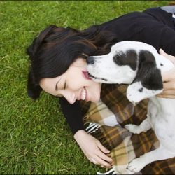 Negocio Sparc México