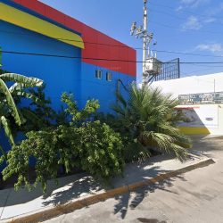 Negocio Spay Clínica Veterinaria