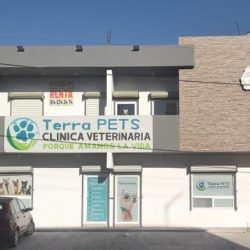 Negocio Terra Pets