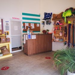 The Vet Clínica De Pequeñas Especies.