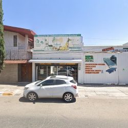 Tienda Para Mascotas