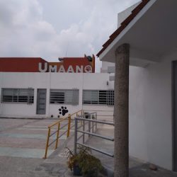 Umaanq