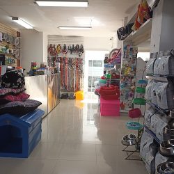 Unidad Médica Veterinaria