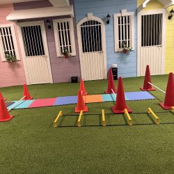 Negocio Universum K9