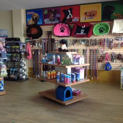 Negocio Uvelm Unidad Veterinaria Lomas Del Marqués