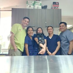 Vet Médica Veterinaria Integral