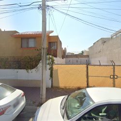 Vet. Pets. Samuel Lozano Santillan