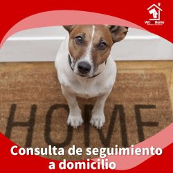 Negocio Vet To Home