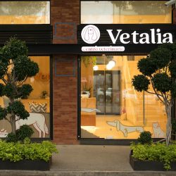 Vetalia Condesa - Hospital Veterinario 24 Horas