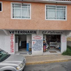 Veterina El Paloma