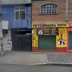 Veterinaria Akita