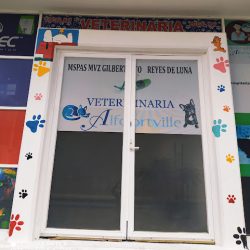 Veterinaria Alfortville