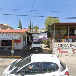 Negocio Veterinaria Animalitos