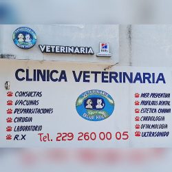 Negocio Veterinaria Blue Hole