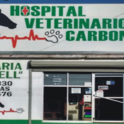 Veterinaria "carbonell"