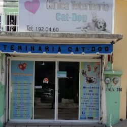 Veterinaria Cat-dog