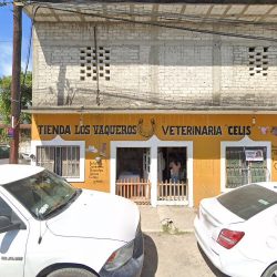 Negocio Veterinaria Celis